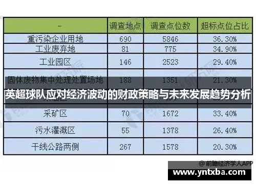 英超球队应对经济波动的财政策略与未来发展趋势分析